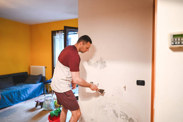 Best Professional Mold Removal  in Holland, MI